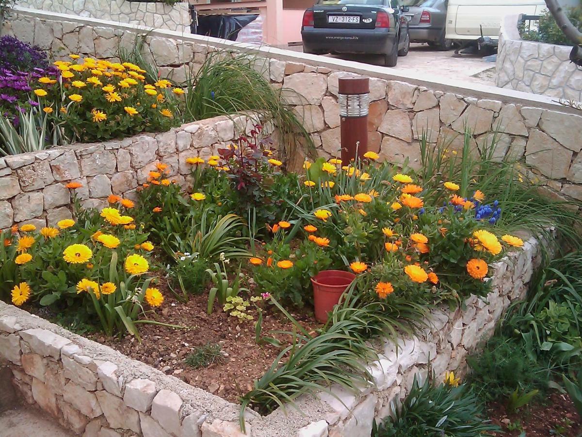 Apartmani Stambuk Mandre Buitenkant foto